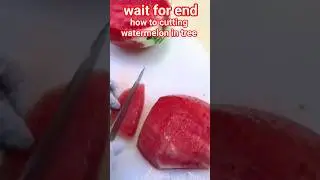 how to cutting watermelon in tree #fruit #fruitcutting #satisfying #tiktok #fruitpickers#greenapple