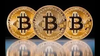 Day1 Bitconnect (is it really worth it)