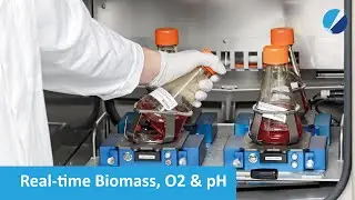 SFR vario - Real-time Biomass, O2, OUR & pH Monitoring in Shake Flasks