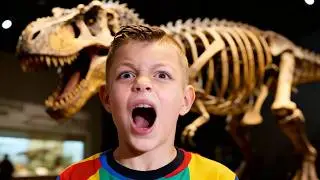Top Things to Do in London with Kids – Explore Dinosaurs and More at the Natural History Museum