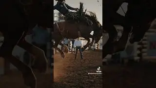 Saddle Bronc Cowboys - Tyrell Toberts