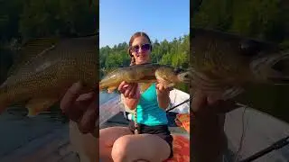 Holding a beautiful walleye in Michigan. #swickysfamoutdoors #outdoors #fishing #subscribe 🎣🔥