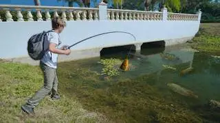 Fishing URBAN Florida Backwater Canals For Whatever BITES! (PB's)