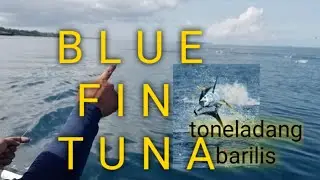 ocean only #fish #nofishingnolife