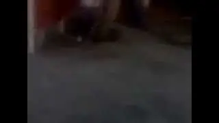 CHIA SKATE