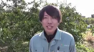 ミカンの剪定２０１９（ＪＡありだ）
