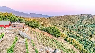 California Winery For Sale - Near Sequoia & Kings Canyon NPs