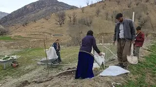 Carrying fertilizer from the village to the farm with family cooperation in difficult conditions