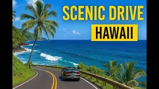 Incredible Scenic Drive Along Hawaii&rsquo;s Coastal Road!