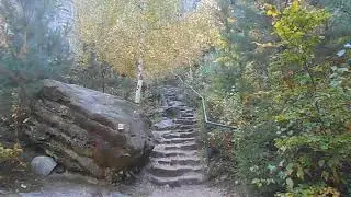 A trip to Prachov Rocks, Czech republic!