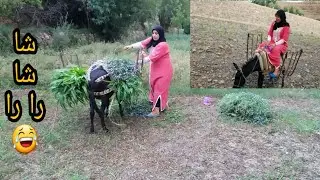 ركبت فوق الحمار وكنت غانطيح/عيشو معايا اجواء البادية