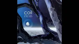 Coil - Ether (slowed + reverb)