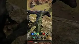 Sucho (Suchomimus) gives the big Rexy a helping hand at GP Path Of Titans Gameplay Official Serveur
