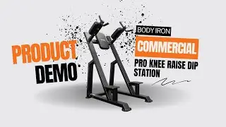 Body Iron Commercial Pro Knee Raise Dip Station