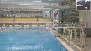 Marginalen Bank Diving Cup 2025 - Men + Women 3m