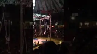 Gamma Phi Circus- Roman Rings 2016