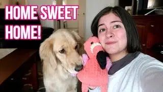 Holiday Ends Early | Making Sacrifices for My Health (7/27/18)