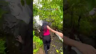Agree? #maharashtra #monsoon #westernghats #forts #travel #explore #pune #mumbai #waterfall #rain