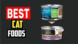 ✅Top 5 Best Cat Foods for Weight Loss in 2025