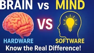 Brain vs Mind &ndash; Simple difference  By Rayees Jamil RJO Academy 