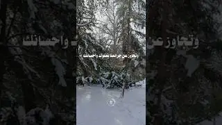 اللهم صل وسلم وبارك على سيدنا محمد وعلى آله وصحبه أجمعين # اللهم اغفر لوالدينا و ارحمهما