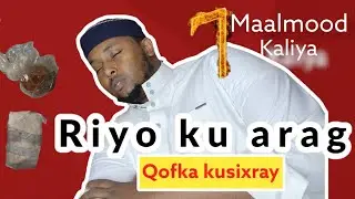 7maalmod ku ogow qofka kusixray riyo ku arag