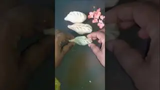 Beginner Momo Folding Hack 🥟 Perfect Shape Every Time! #shorts