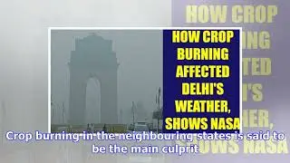 Delhi smog: nasa images show how crop burning polluted the air