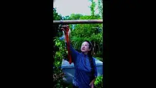 Short video Entertainment  #birds #kids #entertainment #enjoy #viralvideo #shortvideo #youtubeshorts