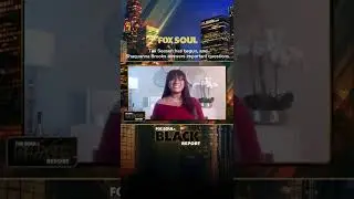 Ms. Business Fox Soul Appearance