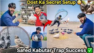 Itne Sare Kabutar! WOW 😳 || Jungli Kabutar Se Safed Kabutar Pakadne Ka New Tarika 😍