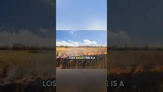 Fire in Loss Angles 😔 #america #fireinamerica #usa #shorts #viral