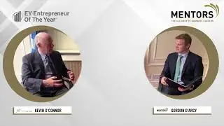 What value can a mentor bring?