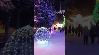 новый 2024 Томский Городской Сад !!!🎠🎡🎄