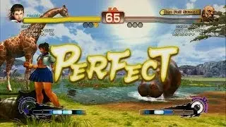 SSF4AE 2014 - Sakura (risoku1993) Vs Gouken (cream_soda_44)