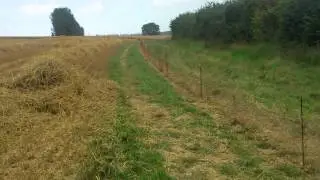 Rabbit control summer harvest