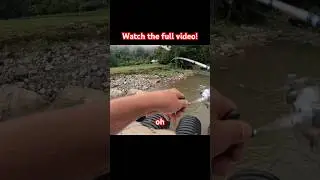 Catching A NICE Smallmouth Bass From A Creek! #fishing #bassfishing #fish #outdoors #smallmouthbass
