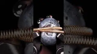 Wire vs Blueberry