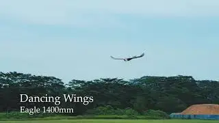 Dancing Wings Eagle 1400mm
