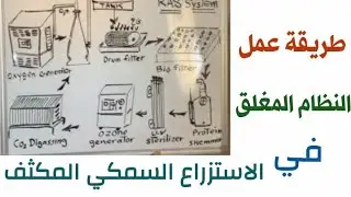 طريقة عمل النظام المغلق في الاستزراع السمكي المكثف