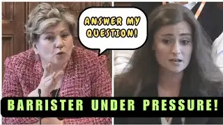 Emily Thornberry DESTROYS British Barrister LIVE Israel/Palestine
