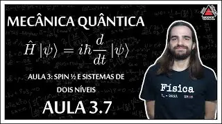 Mecânica quântica - Sistemas de duas ou mais partículas - Aula 3.7