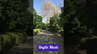 agical Park Corridor 🌳✨: Soothing Walk Between Green Trees & A Lonely Tree