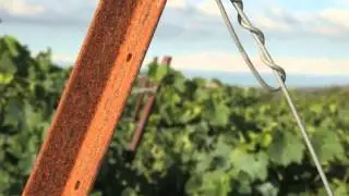 Domaine de Barroubio - St Jean de Minervois