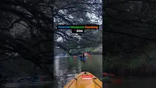 Mangrove Kayaking Katein kya in GOA?  #kayaking #mangroove #goa