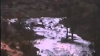 windellama vintage2.wmv
