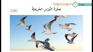 درس هجرة النورس الخريفية  + حل التدريبات| للصف التاسع|  لغة عربية  | الوحدة السابعة