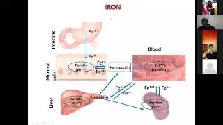 Magnesium, Sodium, Potassium by Dr. Pankaj Kumar Singh, ANN, BVC