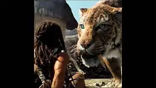 He showed mercy to a TIGER 🐅
