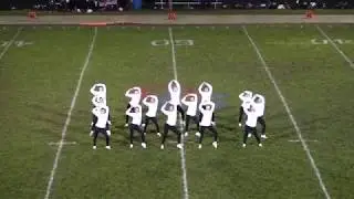 Dundee Crown HS - Varsity Dance Team
